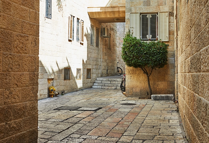377.jpg
