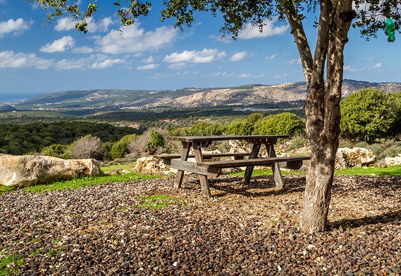 shutterstock_377501182.jpg